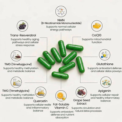 Pure NMN Capsules (10-in-1 Formula)